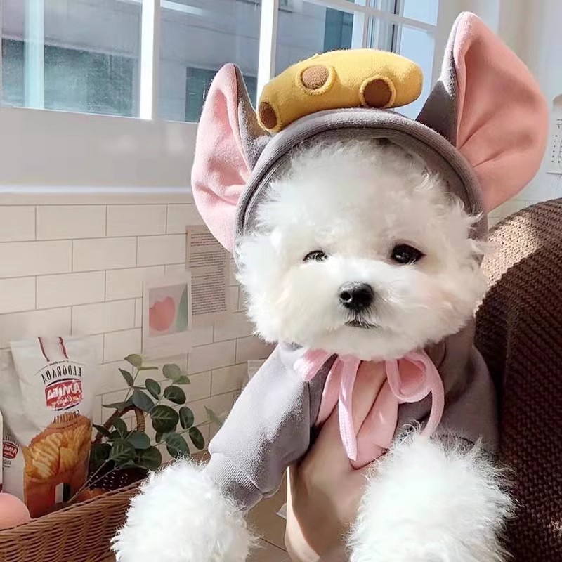 ‌🐭【Viral-Worthy Mouse Costume】Dress Your Pet (6-7.5kg) in Ultra-Cute Style! Instagram’s Next Star ⚡