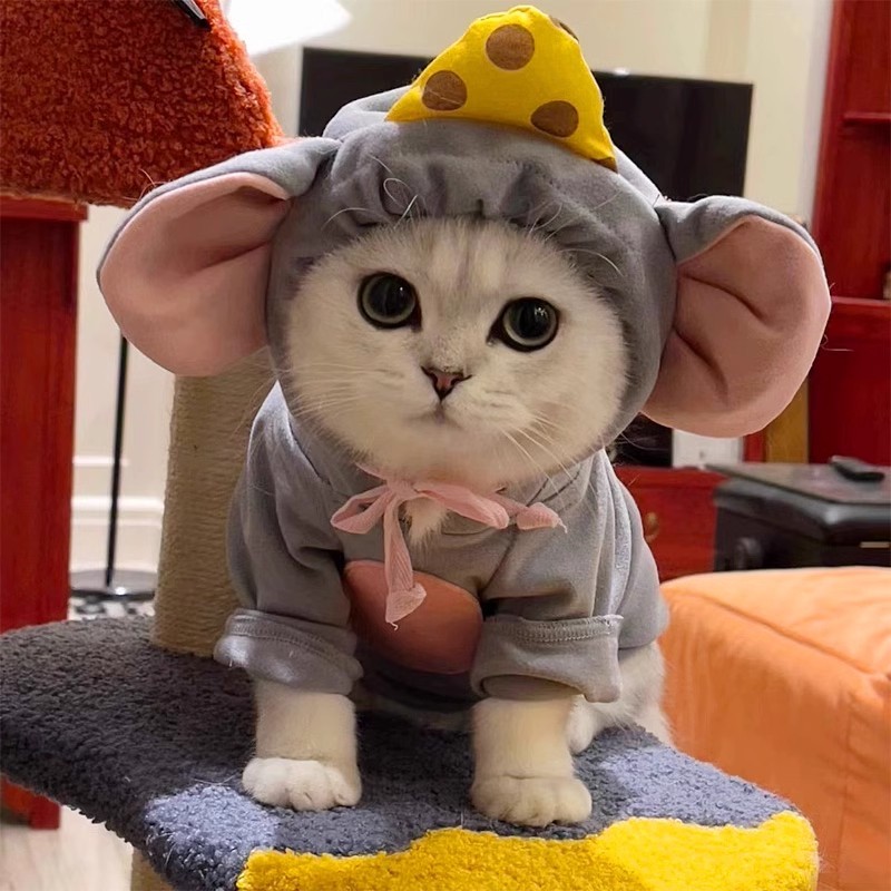 ‌🐭【Viral-Worthy Mouse Costume】Dress Your Pet (6-7.5kg) in Ultra-Cute Style! Instagram’s Next Star ⚡