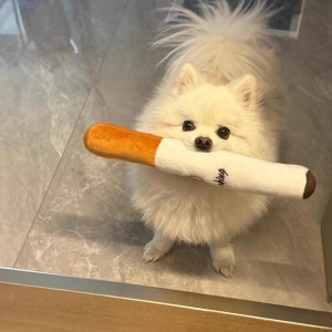 Squeaky SnuggleStick™‌ | Adorable Long-Lasting Chew Toy for Dogs & Cats – Cute Squeaky Fun!