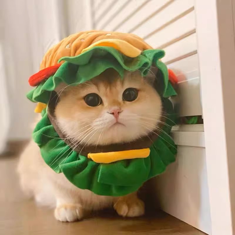 Burger Buddy Hat for Pets Under 9kg | Insta-Worthy Cute Pet Costume 🍔🐾
