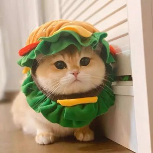 Burger Buddy Hat for Pets Under 9kg | Insta-Worthy Cute Pet Costume 🍔🐾