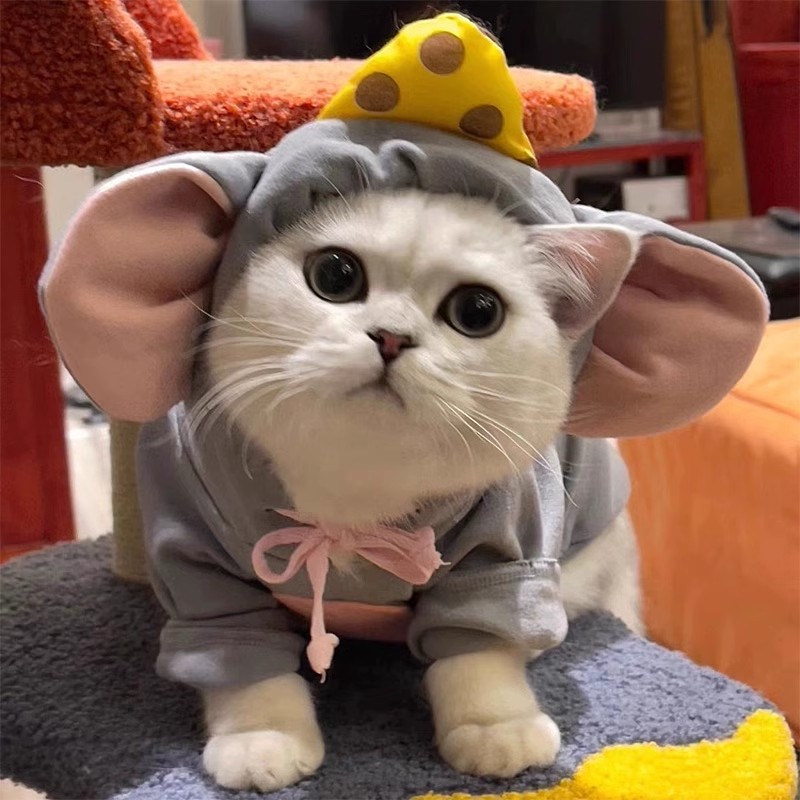 ‌🐭【Viral-Worthy Mouse Costume】Dress Your Pet (6-7.5kg) in Ultra-Cute Style! Instagram’s Next Star ⚡