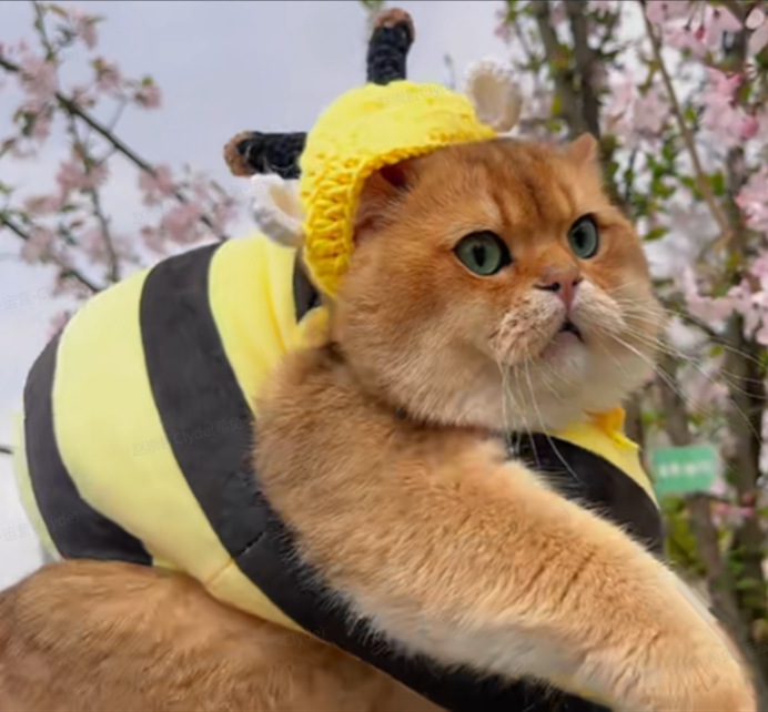 ‌BumbleCat™ Bee Costumes: Eco-Chic, Ultra-Soft Outfits for Playful Kitties! 🐝✨ Free Shipping!