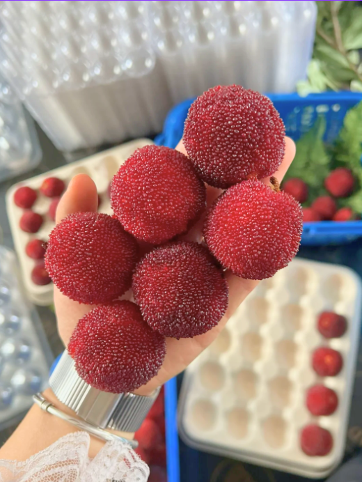 杨梅新鲜冰冻冰杨梅冷冻大果仙居东魁杨梅（大个头）东魁冰杨梅2斤