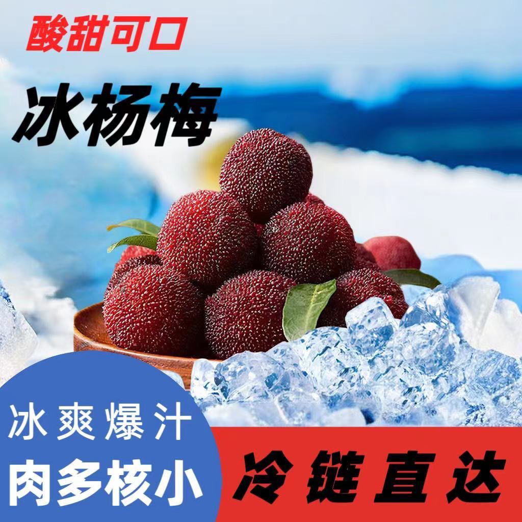 杨梅新鲜冰冻冰杨梅冷冻大果仙居东魁杨梅（大个头）东魁冰杨梅2斤