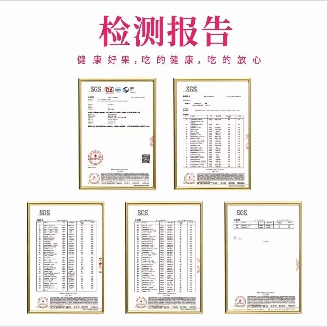 红宝石芭乐双拼草莓红心芭乐冰淇淋奶油白心芭乐番石榴4.5-5斤