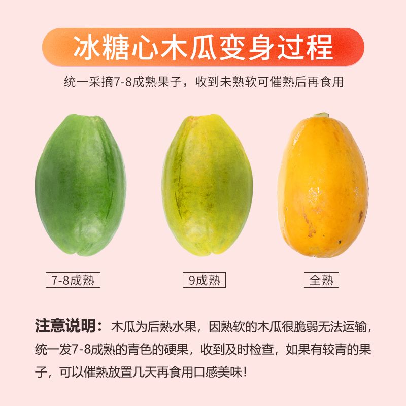 红心牛奶木瓜正宗整箱新鲜孕妇水果当季净重1斤中果【单果300克以上】