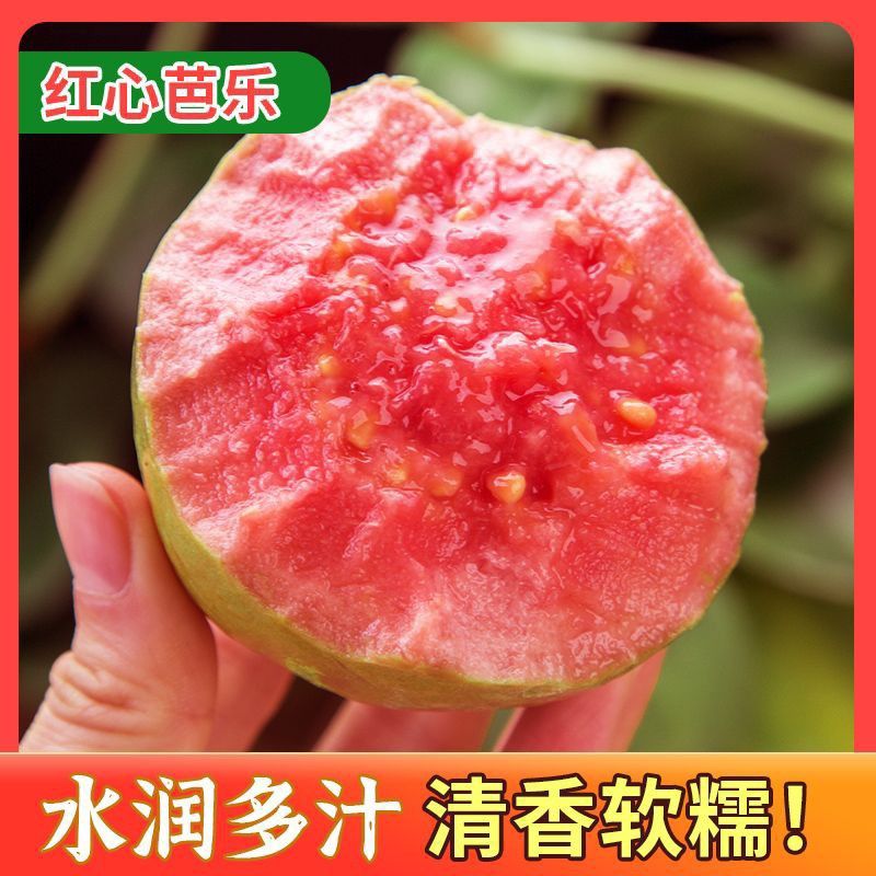 红宝石芭乐双拼草莓红心芭乐冰淇淋奶油白心芭乐番石榴4.5-5斤