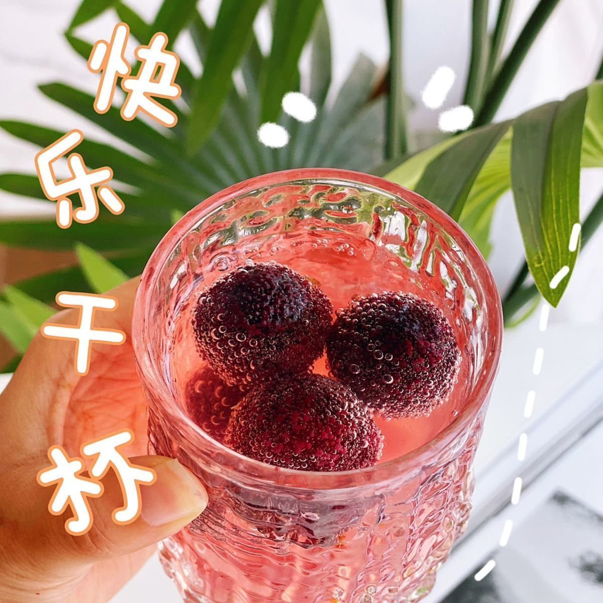 杨梅新鲜冰冻冰杨梅冷冻大果仙居东魁杨梅（大个头）东魁冰杨梅2斤