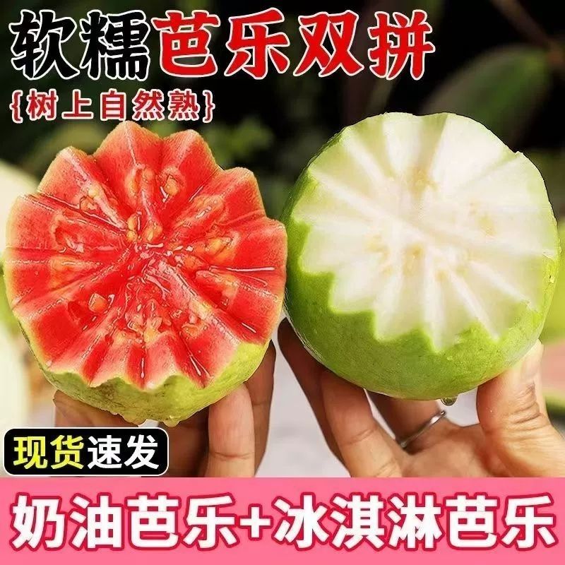 红宝石芭乐双拼草莓红心芭乐冰淇淋奶油白心芭乐番石榴4.5-5斤