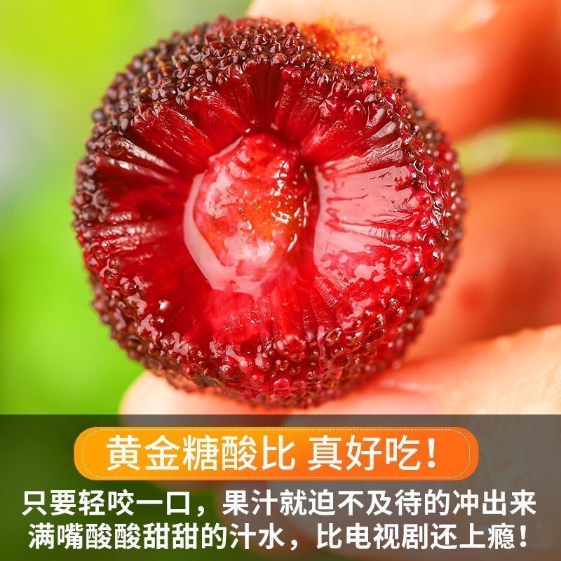 杨梅新鲜冰冻冰杨梅冷冻大果仙居东魁杨梅（大个头）东魁冰杨梅2斤